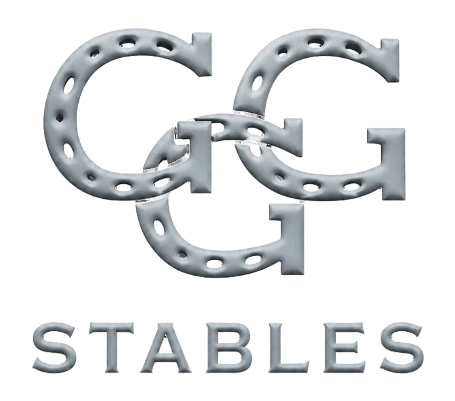 Go Go Greys Stables '47 Hitch Snapback Hat